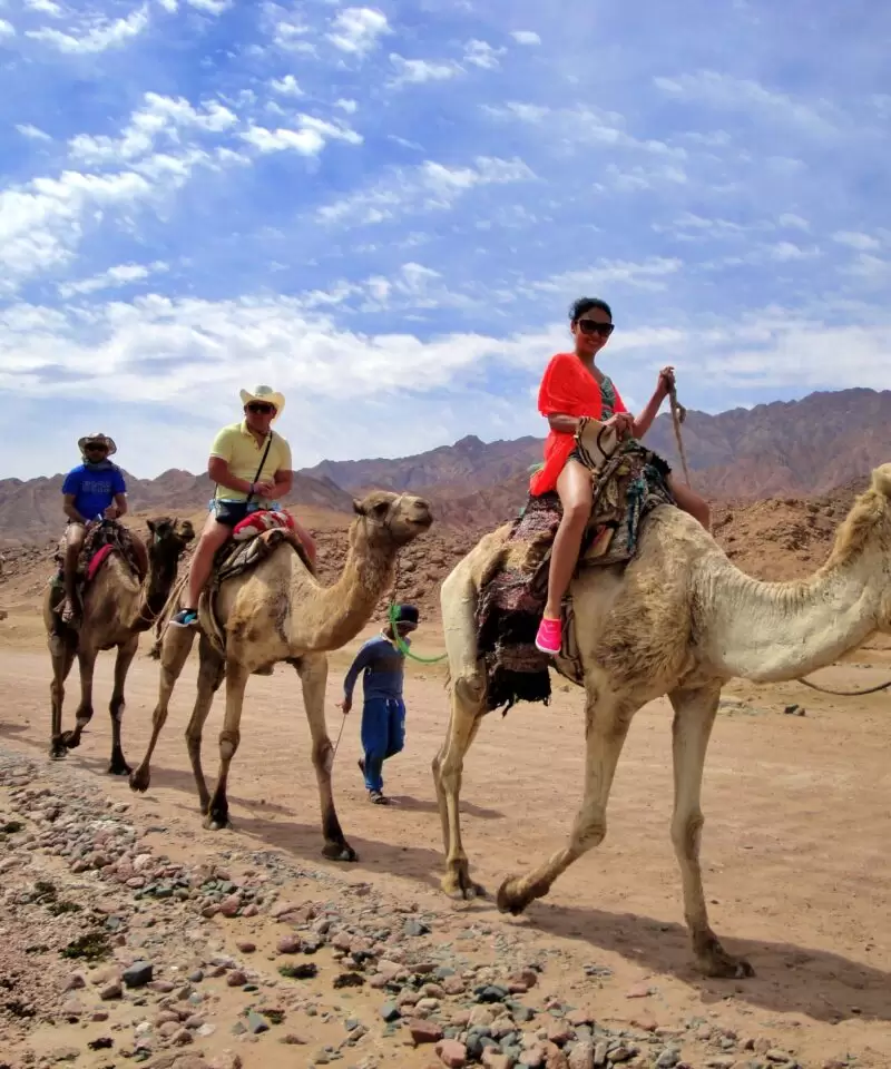 Camel-Riding-Tour-in-HUrghada