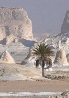 tour-Cairo-and-White-Desert