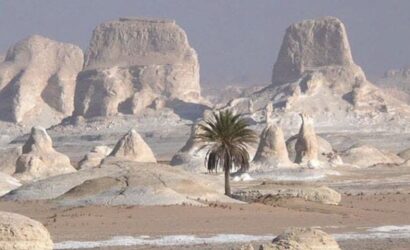tour-Cairo-and-White-Desert