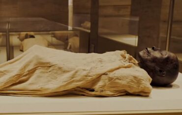 the Mummy of King Seti-I