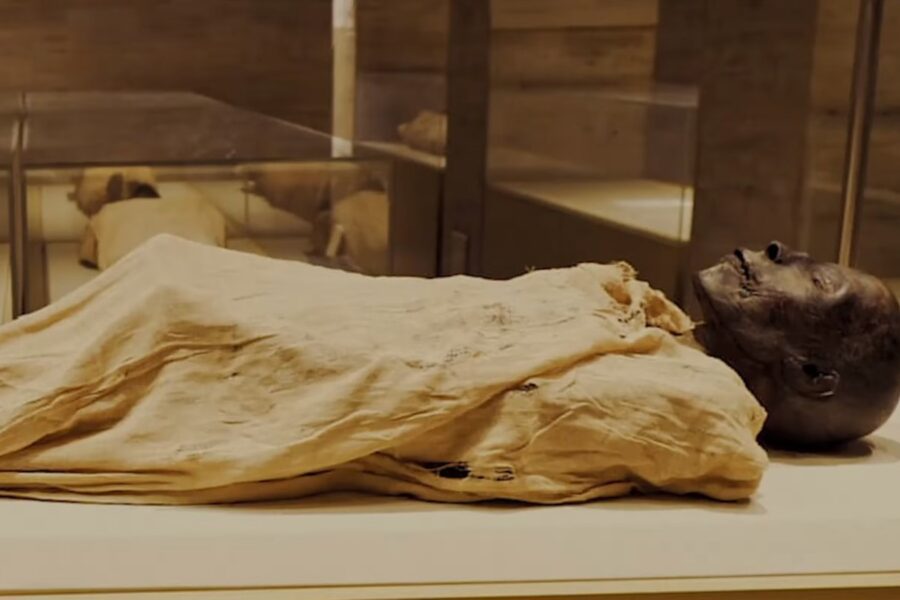 the Mummy of King Seti-I