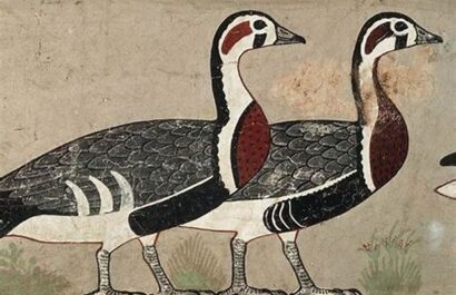 Goose-of-Maidoum-in-Egyp