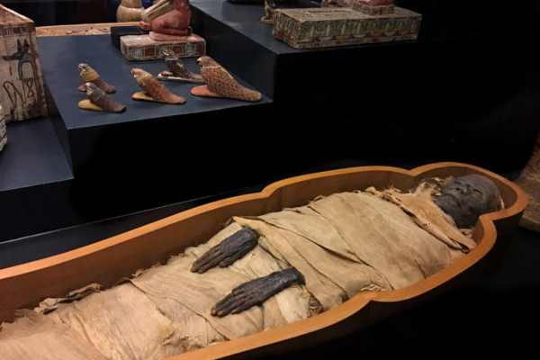 luxor-mummification-museum-tour