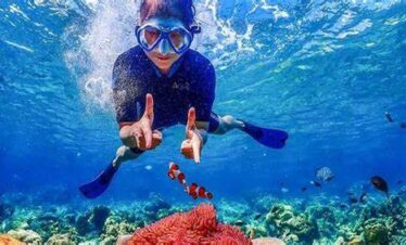 Full-day-Snorkeling-around-Gifton-Island