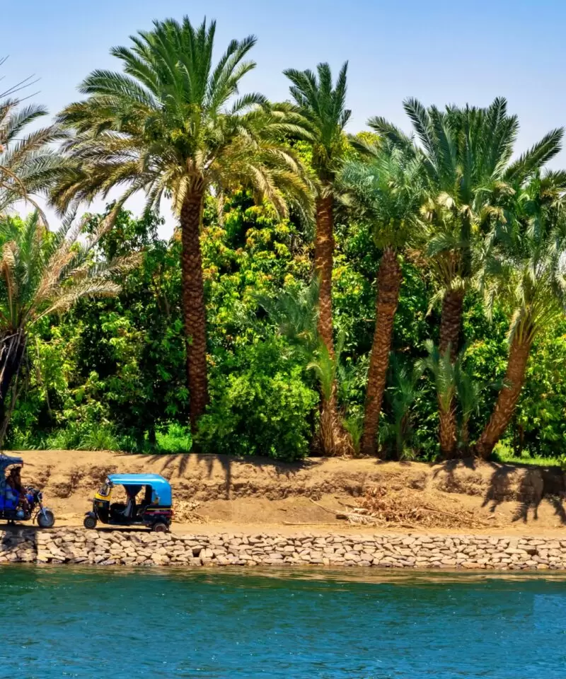 Banana-Island-Tour-from-Luxor